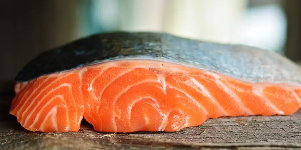 salmon and fatty acids.