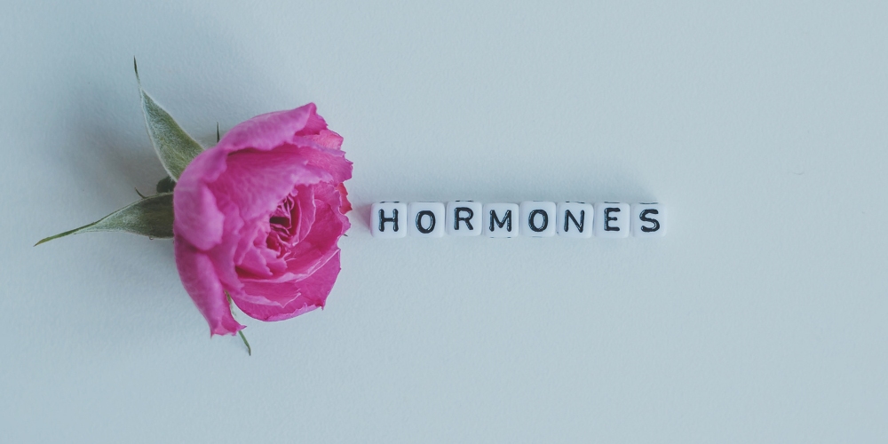 How to Track Your Hormone Health at Home: A Beginner’s Guide