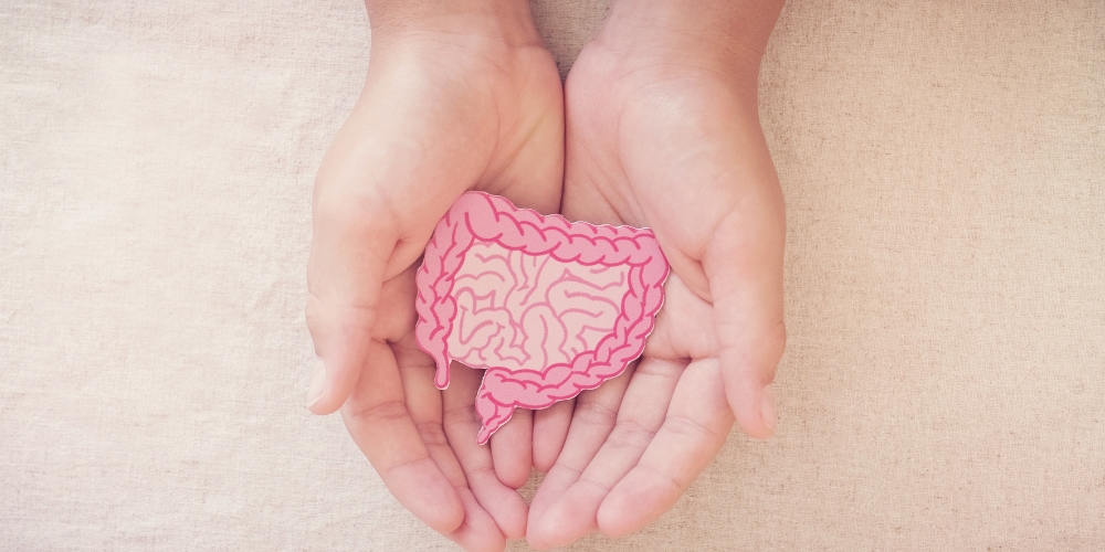 Why I Focus on Gut Health in Every Consultation