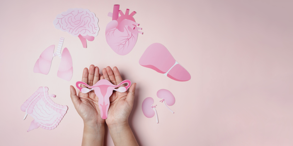Lymphatic System and Menopause: How Lymph Flow May Affect Swelling, Brain Fog, and Bloating