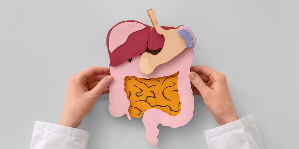 Gut Health and the Nervous System: Why Stress Can Affect Digestion